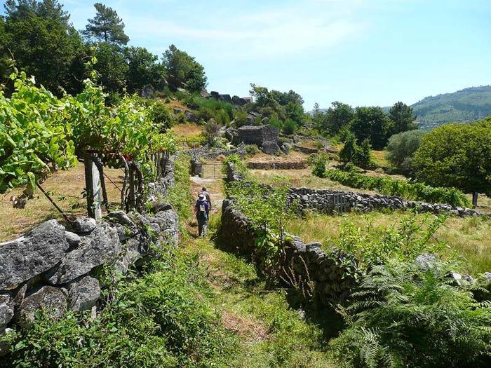 Casa Da Gandarela Villa Soajo Buitenkant foto
